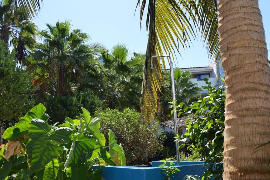 Holiday Properties Moradias Green سانتا ماريا المظهر الخارجي الصورة