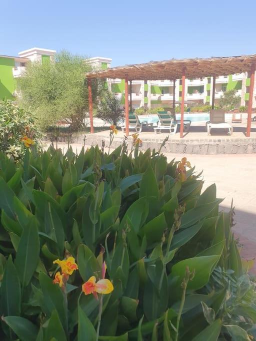 Holiday Properties Moradias Green سانتا ماريا المظهر الخارجي الصورة