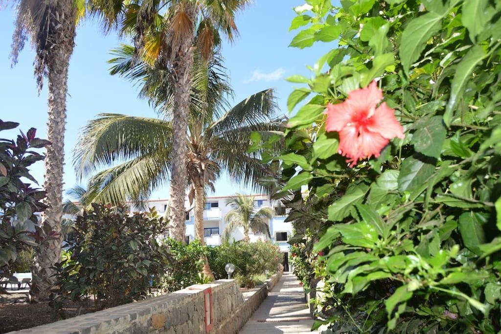 Holiday Properties Moradias Green سانتا ماريا المظهر الخارجي الصورة
