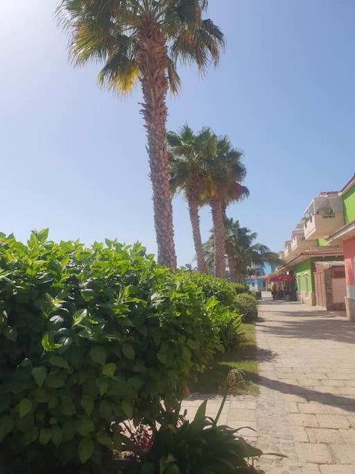 Holiday Properties Moradias Green سانتا ماريا المظهر الخارجي الصورة